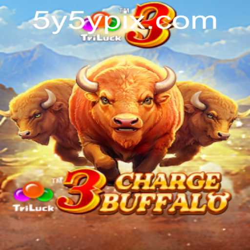 Discover the Thrilling World of 3ChargeBuffalo - A Journey with 5Y5Y